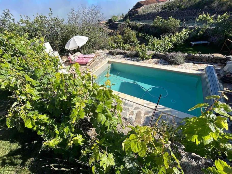 Lilly'S Finca - Romantischter Rueckzugsort - Pool Vilaflor Buitenkant foto
