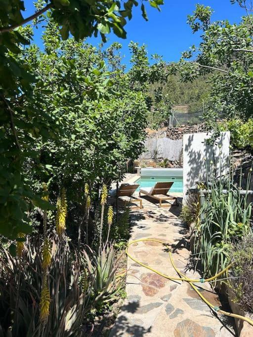 Lilly'S Finca - Romantischter Rueckzugsort - Pool Vilaflor Buitenkant foto